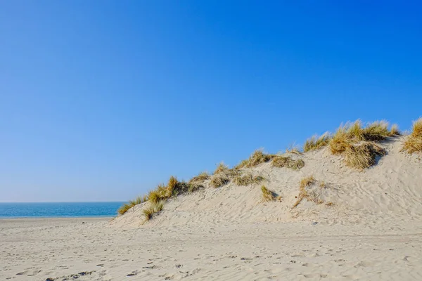 Sandy dune beach — Stock Photo, Image