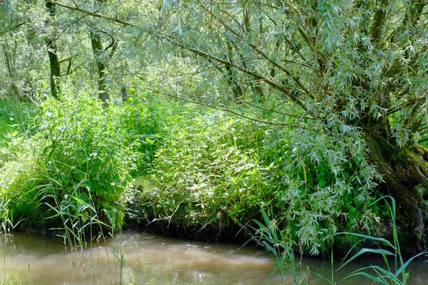 Vyhlídkový výhled na idylické klidné jezero s rozbitem vody — Stock fotografie