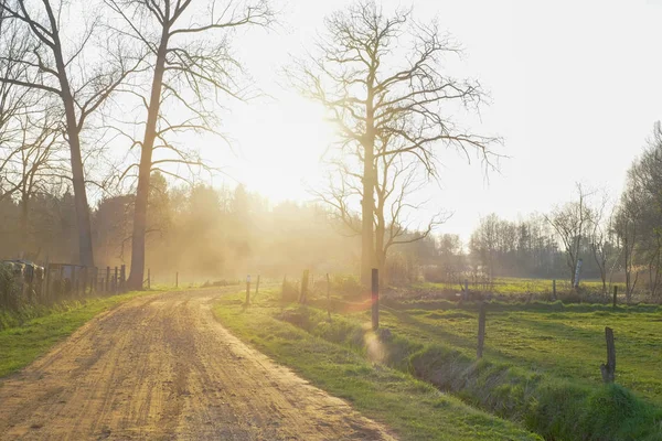 Dirt road in a sunset flare — Stock Photo, Image
