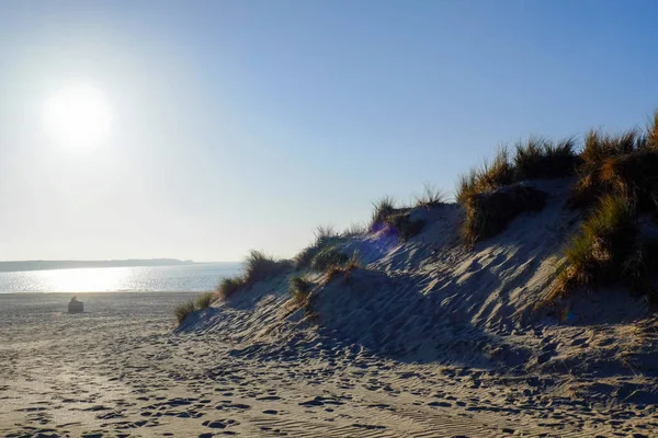 Kumlu kumul plajı — Stok fotoğraf