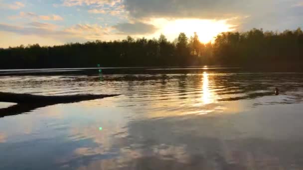 Skogslandskap med solnedgång reflektion — Stockvideo