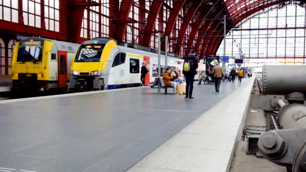 Amberes, Bélgica - Anno 2019: El tren está esperando en la plataforma para pasajeros Dentro de la hermosa, histórica y monumental estación de tren de Amberes. — Vídeo de stock