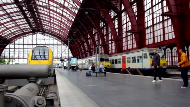Amberes, Bélgica - Anno 2019: El tren está esperando en la plataforma para pasajeros Dentro de la hermosa, histórica y monumental estación de tren de Amberes. — Vídeo de stock