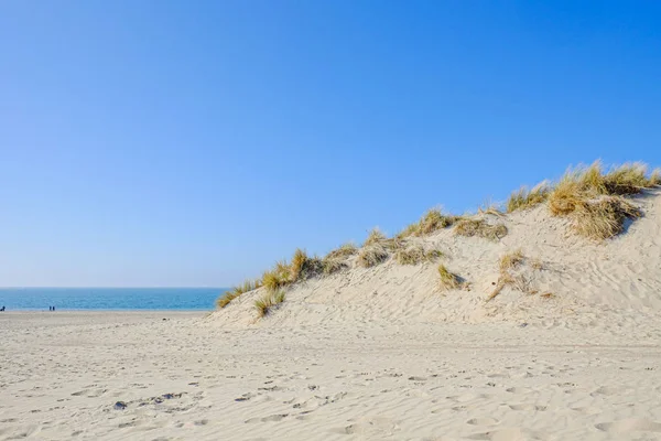 Sandy dune beach — Stock Photo, Image