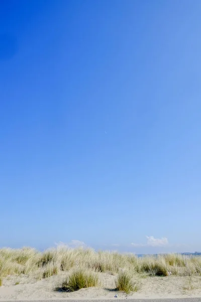 샌디 모래 언덕 해변 — 스톡 사진