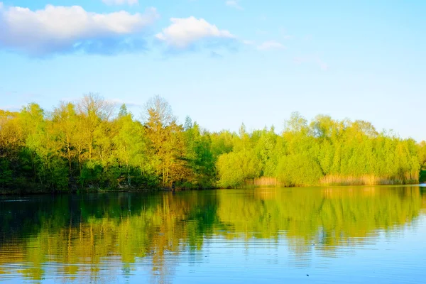 Wald spiegelt sich in einem See — Stockfoto