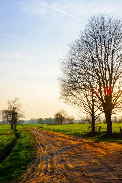 Camino de tierra en una llamarada de puesta de sol — Foto de Stock