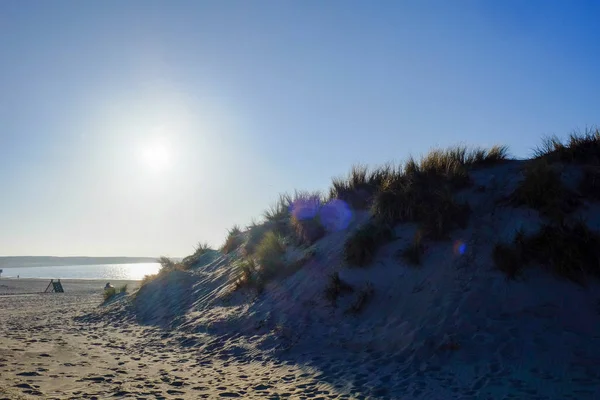 Kumlu kumul plajı — Stok fotoğraf