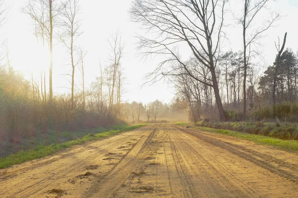 Countryside rural pathway leading toward green forest — Stock Photo, Image