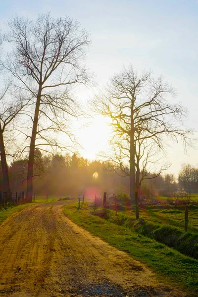 Dirt road in a sunset flare — Stock Photo, Image