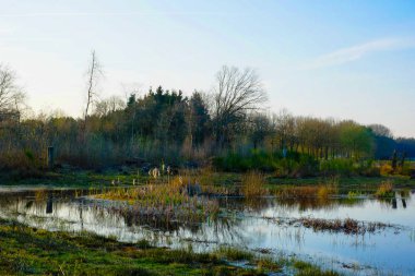 İlkbaharda tarım arazilerinde su birikintileri