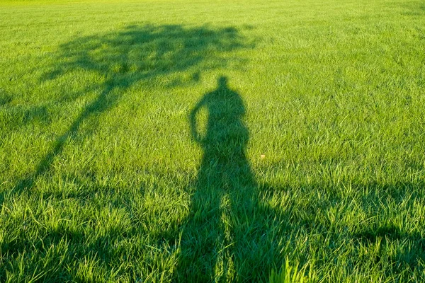 Árvore e um homem de pé sombra na grama — Fotografia de Stock