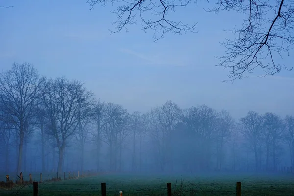 霧田舎日の出 — ストック写真