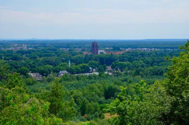 Harika bir güneşli günde tüm doğanın güzel görüntü