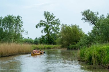 Pastoral sakin bir gölde kürek çekiyorlar.