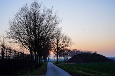 Ağaçlar ve tarlalar arasındaki Ülke Yolu