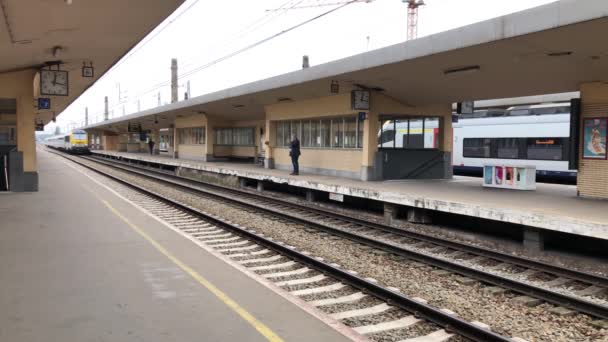 Brüssel, Belgien - Juni 2019: Der Zug kommt am Bahnsteig an — Stockvideo