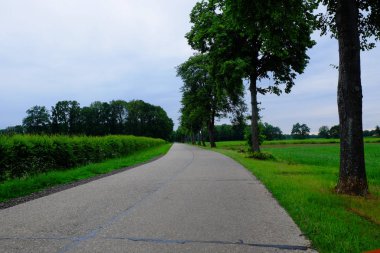 Yumuşak renkli gündoğumu 