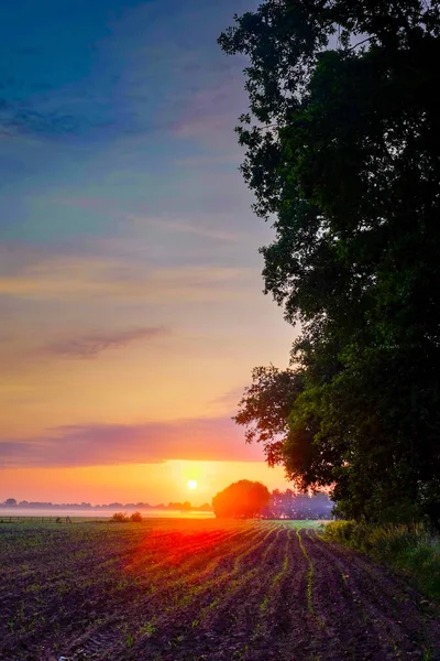 Colorful glowing sunrise — Stock Photo, Image