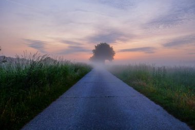 Yumuşak renkli gündoğumu 