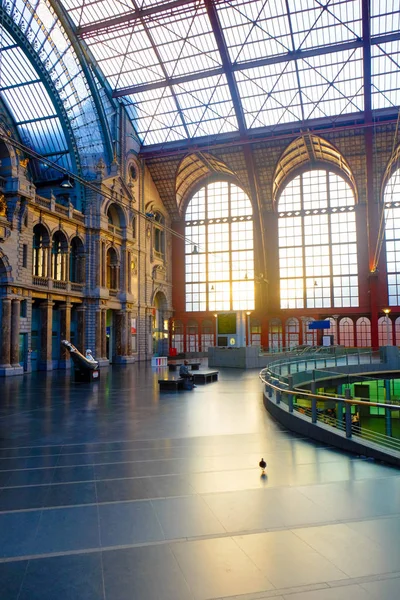 Anvers, Belgique - Juin 2019 : Intérieur de la gare centrale d'Anvers avec le soleil qui brille à travers les vitres — Photo