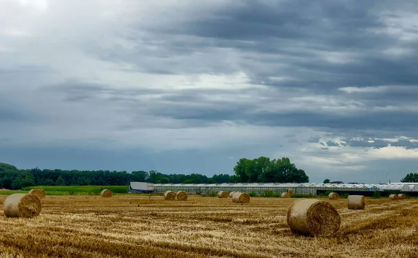 Letnia burza nadciąga nad polem siana w rejonie Kempen, Belgia — Zdjęcie stockowe