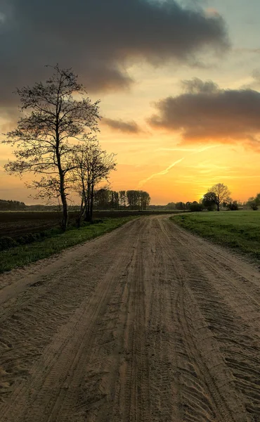 A path with trees on the side of a dirt field — Stock Photo, Image