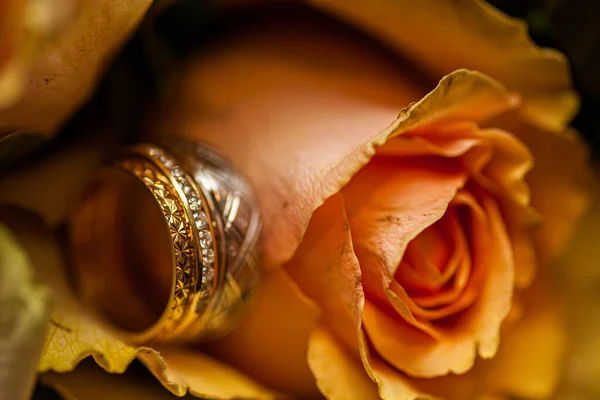 Обручальные кольца на фоне розовых роз — стоковое фото