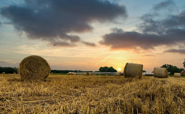 Dramatic sunset sky over hay field in the Kempen area, Belgium — Stock Photo, Image