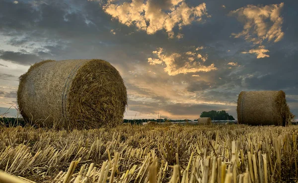 Drámai naplemente ég felett szénamező Kempen területen, Belgium — Stock Fotó