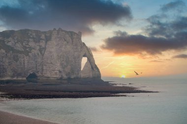 Tebeşir kayalıklarındaki iğne