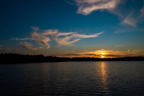 森の湖での豪華な夕日のパノラマ — ストック写真