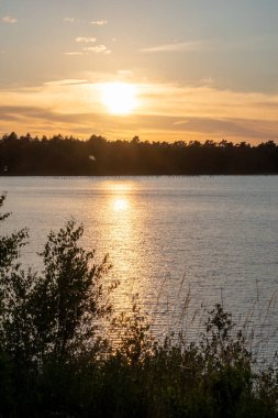 Orman gölünde muhteşem bir günbatımı manzarası