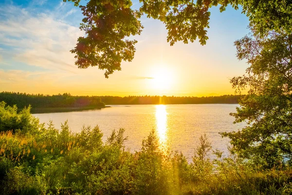 Orman gölünde muhteşem bir günbatımı manzarası