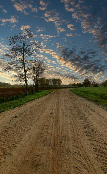 Um caminho com árvores no lado de um campo de terra — Fotografia de Stock