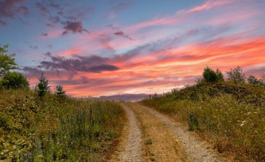 Tepenin kenarında ağaçlar olan bir patika.