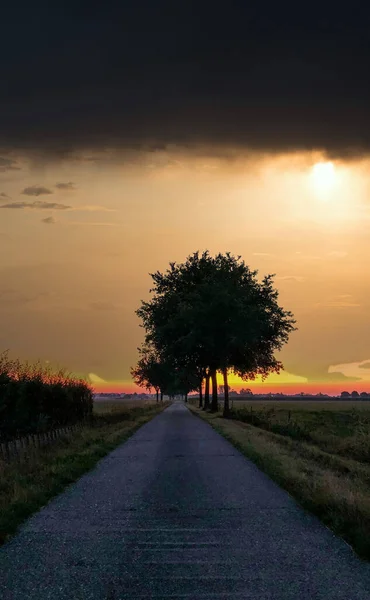 Un camino con en la hierba y los árboles — Foto de Stock