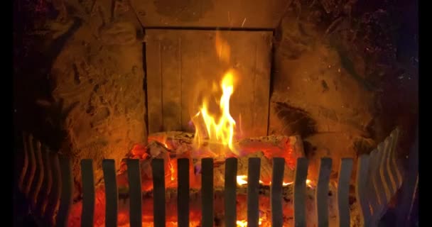 Dřevěné klády hořící v krbu — Stock video