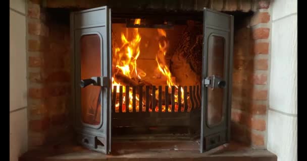 Wooden logs burning in a fireplace — Stock Video