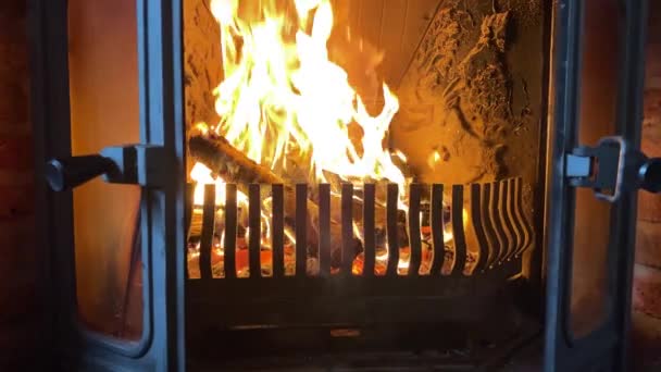 Wooden logs burning in a fireplace — Stock Video