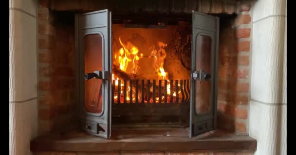 Grumes de bois brûlant dans une cheminée — Video