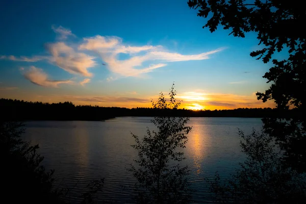 Панорама великолепного заката на лесном озере — стоковое фото