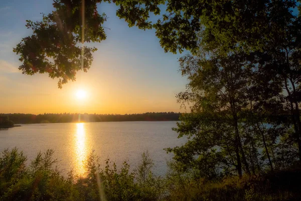 Orman gölünde muhteşem bir günbatımı manzarası