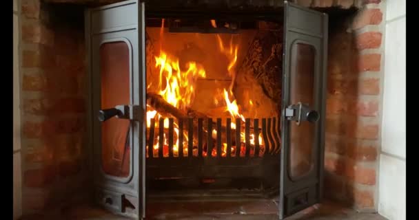 Troncos de madera ardiendo en una chimenea — Vídeos de Stock