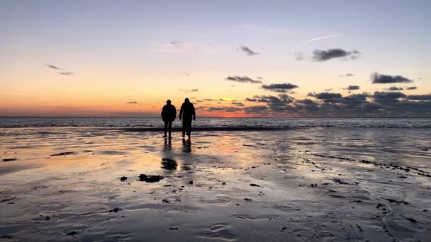 Silhuetas de pessoas caminhando em direção ao sol em uma bela praia de pôr do sol. — Vídeo de Stock