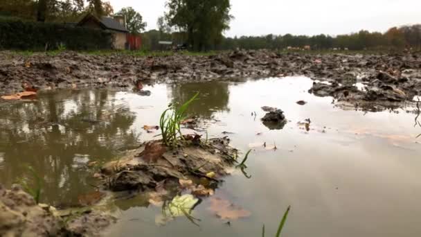 폭우가 내리는 동안 빗물이 흙탕물에 많이 내린다. 느린 동작으로 떨어지는 물. — 비디오