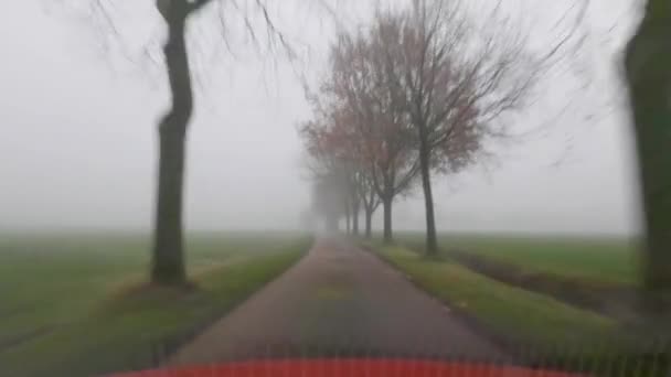 Kör på en dimmig landsväg — Stockvideo