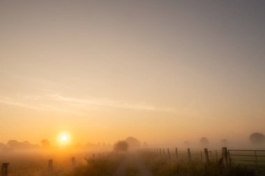 Gerçekten büyüleyici bir gün doğumu sisli ve gizemli bir tarlada güzel bir şekilde sergileniyor. Huzur ve güzelliği çağrıştırıyor.