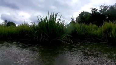 Sakin bir nehir kenarı sahnesi. Yoğun yeşil çimenler ve bulutlu bir gökyüzünün sakin sulara güzel bir yansıması.