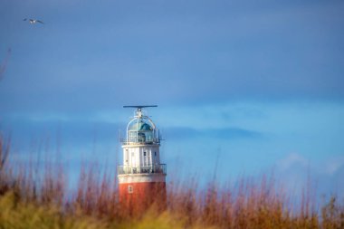 Eierland, De Cocksdorp, Texel, Hollanda, 28 Ekim 2024, göz kamaştırıcı güzellikte bir deniz feneri açık mavi gökyüzüne karşı gururla duruyor.